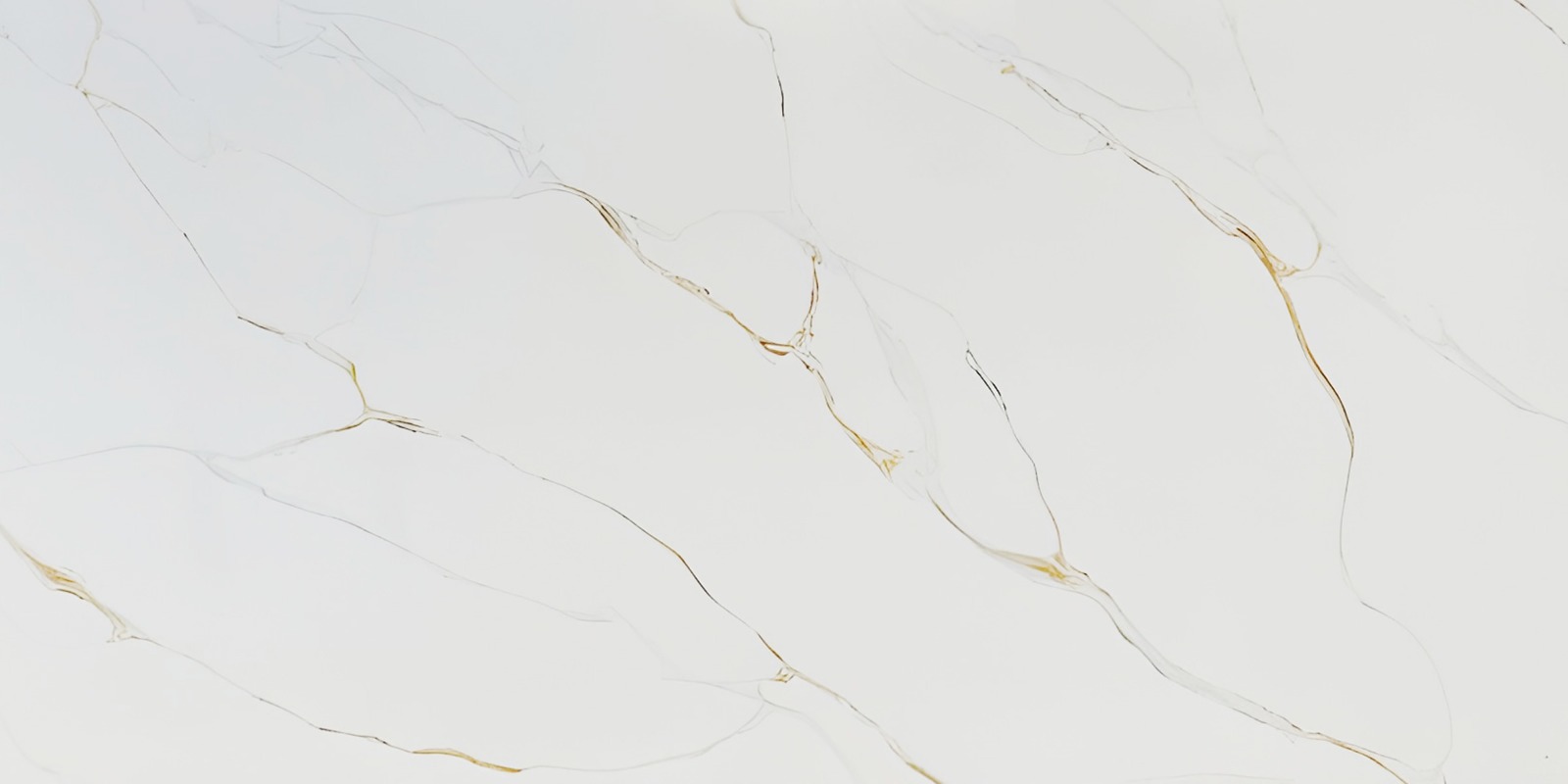 Calacatta Tuscany slab sample